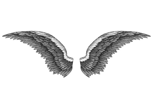 eagle wings art 2